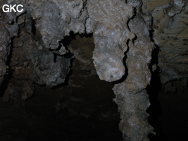 Grotte de Pixiaodong 皮硝洞 - réseau de Shuanghedong 双河洞 - (Wenquan, Suiyang 绥阳, Zunyi 遵义市, Guizhou 贵州省, Chine 中国).