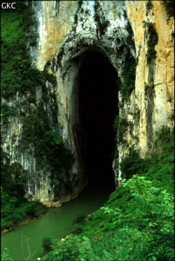 Le fantastique porche de la Perte de la rivière Gebihe et ses 116 m de haut s'ouvre dans les calcaires massif du carbonifère. (Gebong, Ziyun, Anshun, Guizhou)