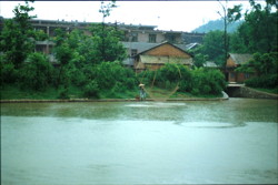 Pêcheur au filet un jour de pluie  dans le parc de Huaxi à Guiyang (Guizhou)