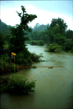 Pêcheur au filet un jour de pluie  dans le parc de Huaxi à Guiyang (Guizhou)