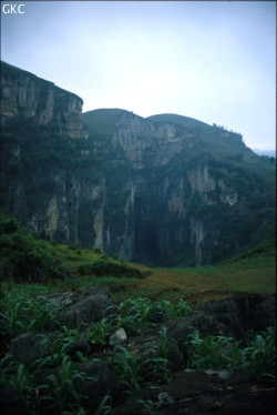 Le puits-doline de Dacaokou (le grand gouffre...  L : 900 m, l : 200 m, h : 150 à 300 m) est un des plus grand vide karstique de la planète, il représente l'entrée aval du réseau de Daxiaocaokou (2,9 km, -235) (Zhijin/Bijie/Guizhou).