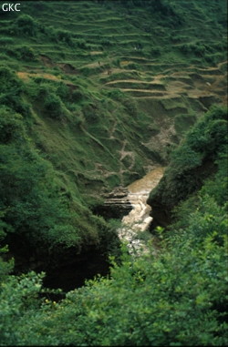 Le ponor de Guanho (Guanho Luoshuidong-Puits du ponor de Guanho) est la perte principale du système de Santang Dongqun (7,2 km), l'été c'est plusieurs m3/s qui se jette dans ce puits de 30 m. L'exploration n'est pas terminée...(Santang-Zhijin-Bijie-Guizhou)