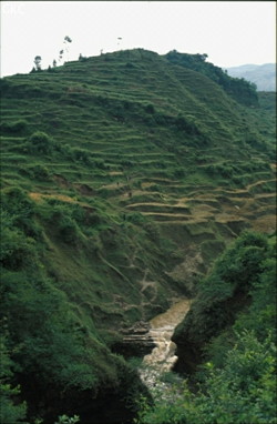 Le ponor de Guanho (Guanho Luoshuidong-Puits du ponor de Guanho) est la perte principale du système de Santang Dongqun (7,2 km), l'été c'est plusieurs m3/s qui se jette dans ce puits de 30 m. L'exploration n'est pas terminée...(Santang-Zhijin-Bijie-Guizhou)