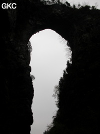 Le pont naturel de l'arche du dragon au pied de laquelle s'ouvre Longqiaogedong (Grotte de la pagode de l'arche du dragon) 龙桥阁洞 une entrée du réseau de Longnudong 龙女洞. (Shipin, Zheng'an 正安, Zunyi Shi 遵义市, Guizhou 贵州省, Chine 中国)