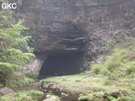 Shuanghedongqun