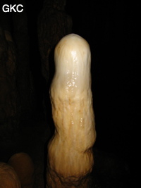 Stalagmite dans la grotte aménagée de Qianlong dong 濳龙洞. (Wuluo, District autonome Miao de Songtao 松桃苗族自治县, Tongren, Guizhou)