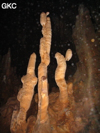 Stalagmites dans la grotte aménagée de Qianlong dong 濳龙洞. (Wuluo, District autonome Miao de Songtao 松桃苗族自治县, Tongren, Guizhou)