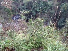 Le puits d'entrée de 155 mètres du gouffre de Xiaokengyan 消坑岩 .(Banzhu, Zheng'an 正安, Zunyi, Guizhou)