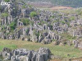 DSCN9498.JPG
