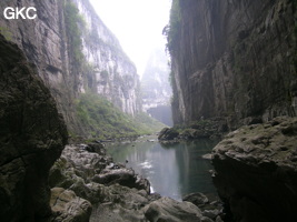 Le porche amont de la grotte-tunnel de Qilongdong 骑龙洞, vu de la résurgence de Yanzidong 燕子洞 (Xiantang 羡塘镇, Huishui 惠水, Guizhou 贵州省, Qiannan 黔南, Chine 中国).