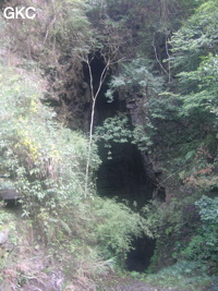 L'entrée de Laoyingdong - 老鹰洞 est un puits-perte typique de montagne qui se trouve au bout d'une courte vallée aveugle dans le lit du torrent. (Suiyang 绥阳, Zunyi 遵义市, Guizhou 贵州省)