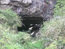 Longwangdong