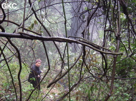 Un observateur en haut du puits d'entrée de la grotte de  Xiangshuidong 响水洞 (Fuyan 桴焉, Zheng'an 正安, Zunyi Shi 遵义市, Guizhou 贵州省, Chine)