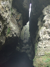 Puits d'entrée de la grotte de Xiangshuidong 响水洞 (Fuyan 桴焉, Zheng'an 正安, Zunyi Shi 遵义市, Guizhou 贵州省, Chine)