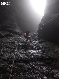 Dans le puits d'entrée de la grotte de Xiangshuidong 响水洞 (Fuyan 桴焉, Zheng'an 正安, Zunyi Shi 遵义市, Guizhou 贵州省, Chine)