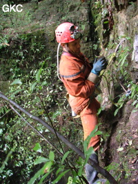 Grotte de Laoyingdong 老鹰洞 (Suiyang 绥阳, Zunyi 遵义市, Guizhou 贵州省, Chine 中国).