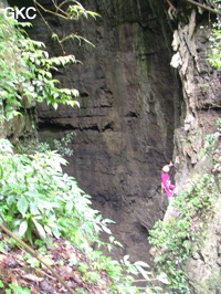 Grotte de Laoyingdong 老鹰洞 (Suiyang 绥阳, Zunyi 遵义市, Guizhou 贵州省, Chine 中国).