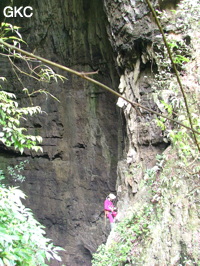 Grotte de Laoyingdong 老鹰洞 (Suiyang 绥阳, Zunyi 遵义市, Guizhou 贵州省, Chine 中国).