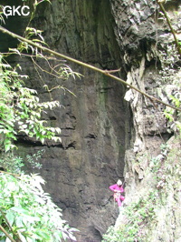 Grotte de Laoyingdong 老鹰洞 (Suiyang 绥阳, Zunyi 遵义市, Guizhou 贵州省, Chine 中国).