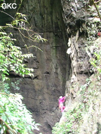 Grotte de Laoyingdong 老鹰洞 (Suiyang 绥阳, Zunyi 遵义市, Guizhou 贵州省, Chine 中国).