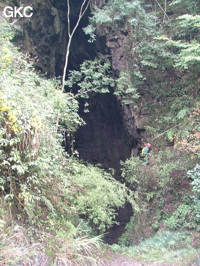 Grotte de Laoyingdong 老鹰洞 (Suiyang 绥阳, Zunyi 遵义市, Guizhou 贵州省, Chine 中国).