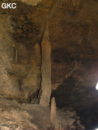 Grotte de Laoyingdong 老鹰洞 (Suiyang 绥阳, Zunyi 遵义市, Guizhou 贵州省, Chine 中国).