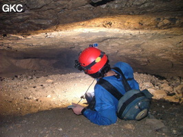 Grotte de Laoyingdong 老鹰洞 (Suiyang 绥阳, Zunyi 遵义市, Guizhou 贵州省, Chine 中国).