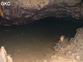 Grotte de Laoyingdong 老鹰洞 (Suiyang 绥阳, Zunyi 遵义市, Guizhou 贵州省, Chine 中国).