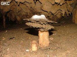 Grotte de Laoyingdong 老鹰洞 (Suiyang 绥阳, Zunyi 遵义市, Guizhou 贵州省, Chine 中国).