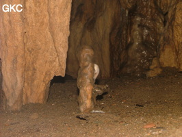 Grotte de Laoyingdong 老鹰洞 (Suiyang 绥阳, Zunyi 遵义市, Guizhou 贵州省, Chine 中国).