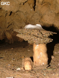 Grotte de Laoyingdong 老鹰洞 (Suiyang 绥阳, Zunyi 遵义市, Guizhou 贵州省, Chine 中国).