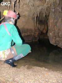 Grotte de Laoyingdong 老鹰洞 (Suiyang 绥阳, Zunyi 遵义市, Guizhou 贵州省, Chine 中国).