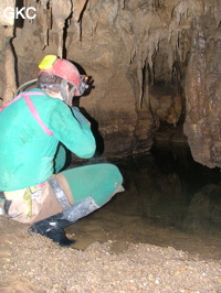 Grotte de Laoyingdong 老鹰洞 (Suiyang 绥阳, Zunyi 遵义市, Guizhou 贵州省, Chine 中国).