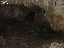 Grotte de Laoyingdong 老鹰洞 (Suiyang 绥阳, Zunyi 遵义市, Guizhou 贵州省, Chine 中国).