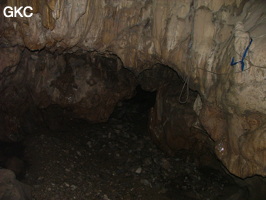 Grotte de Laoyingdong 老鹰洞 (Suiyang 绥阳, Zunyi 遵义市, Guizhou 贵州省, Chine 中国).