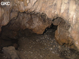 Grotte de Laoyingdong 老鹰洞 (Suiyang 绥阳, Zunyi 遵义市, Guizhou 贵州省, Chine 中国).