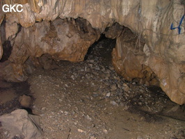 Grotte de Laoyingdong 老鹰洞 (Suiyang 绥阳, Zunyi 遵义市, Guizhou 贵州省, Chine 中国).