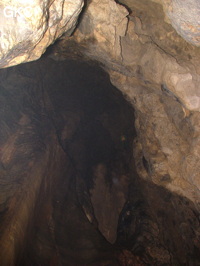 Grotte de Laoyingdong 老鹰洞 (Suiyang 绥阳, Zunyi 遵义市, Guizhou 贵州省, Chine 中国).