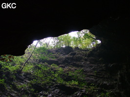 Le puits d'entrée de la Grotte de Laoyingdong 老鹰洞 (Suiyang 绥阳, Zunyi 遵义市, Guizhou 贵州省, Chine 中国).