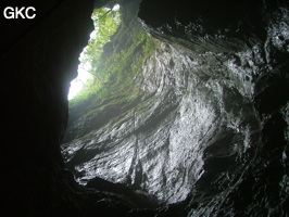 Le puits d'entrée de la Grotte de Laoyingdong 老鹰洞 (Suiyang 绥阳, Zunyi 遵义市, Guizhou 贵州省, Chine 中国).