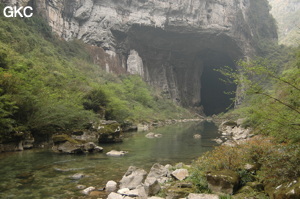 Le porche amont de la grotte-tunnel de Qilongdong 骑龙洞 (Xiantang 羡塘镇, Huishui 惠水, Guizhou 贵州省, Qiannan 黔南, Chine 中国).