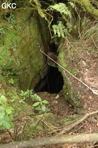 Le puits d'entrée de la grotte de Meidongwan 煤洞湾 (réseau de Mawangdong 麻王洞. (Fuyuan, Zheng'an, Zunyi, Guizhou)
