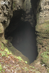 Le puits d'entrée de la grotte de  Xiangshuidong 响水洞 (Fuyan 桴焉, Zheng'an 正安, Zunyi Shi 遵义市, Guizhou 贵州省, Chine)