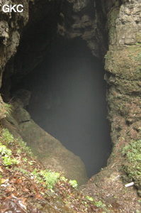 Le puits d'entrée de la grotte de  Xiangshuidong 响水洞 (Fuyan 桴焉, Zheng'an 正安, Zunyi Shi 遵义市, Guizhou 贵州省, Chine)