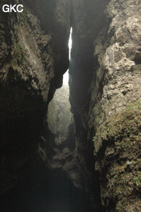 Puits d'entrée de la grotte de Xiangshuidong 响水洞 (Fuyan 桴焉, Zheng'an 正安, Zunyi Shi 遵义市, Guizhou 贵州省, Chine)