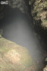 Dans le puits d'entrée de la grotte de Xiangshuidong 响水洞 (Fuyan 桴焉, Zheng'an 正安, Zunyi Shi 遵义市, Guizhou 贵州省, Chine)