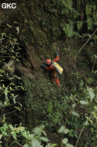 Grotte de Laoyingdong 老鹰洞 (Suiyang 绥阳, Zunyi 遵义市, Guizhou 贵州省, Chine 中国).