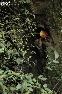 Grotte de Laoyingdong 老鹰洞 (Suiyang 绥阳, Zunyi 遵义市, Guizhou 贵州省, Chine 中国).