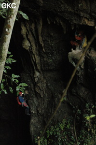 Grotte de Laoyingdong 老鹰洞 (Suiyang 绥阳, Zunyi 遵义市, Guizhou 贵州省, Chine 中国).