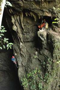 Grotte de Laoyingdong 老鹰洞 (Suiyang 绥阳, Zunyi 遵义市, Guizhou 贵州省, Chine 中国).